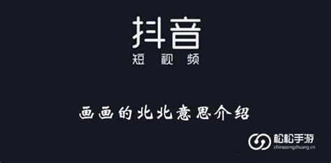 北北 意思|北北什么意思？